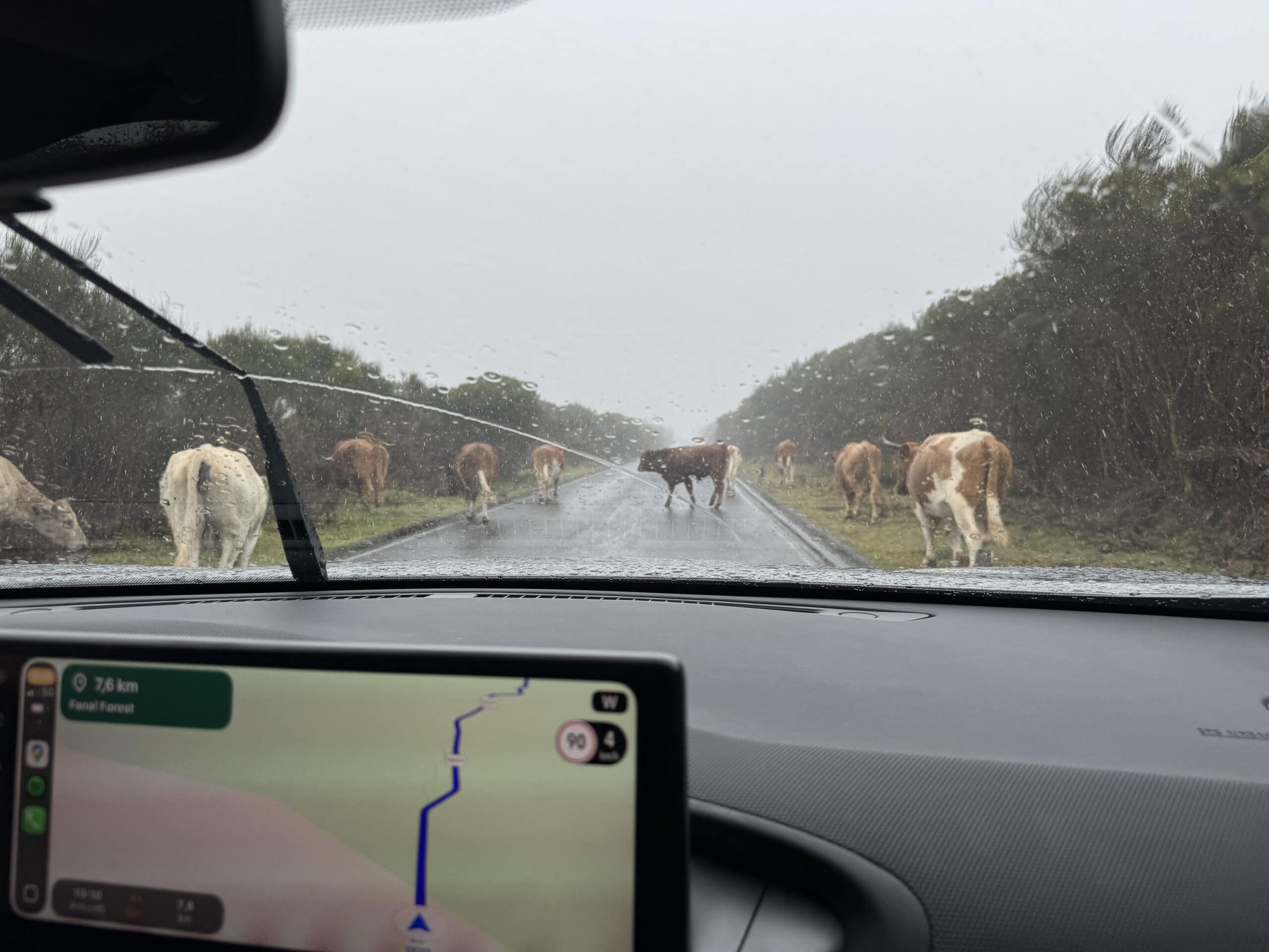 Regen in der Nähe von Faial Forest - Madeira