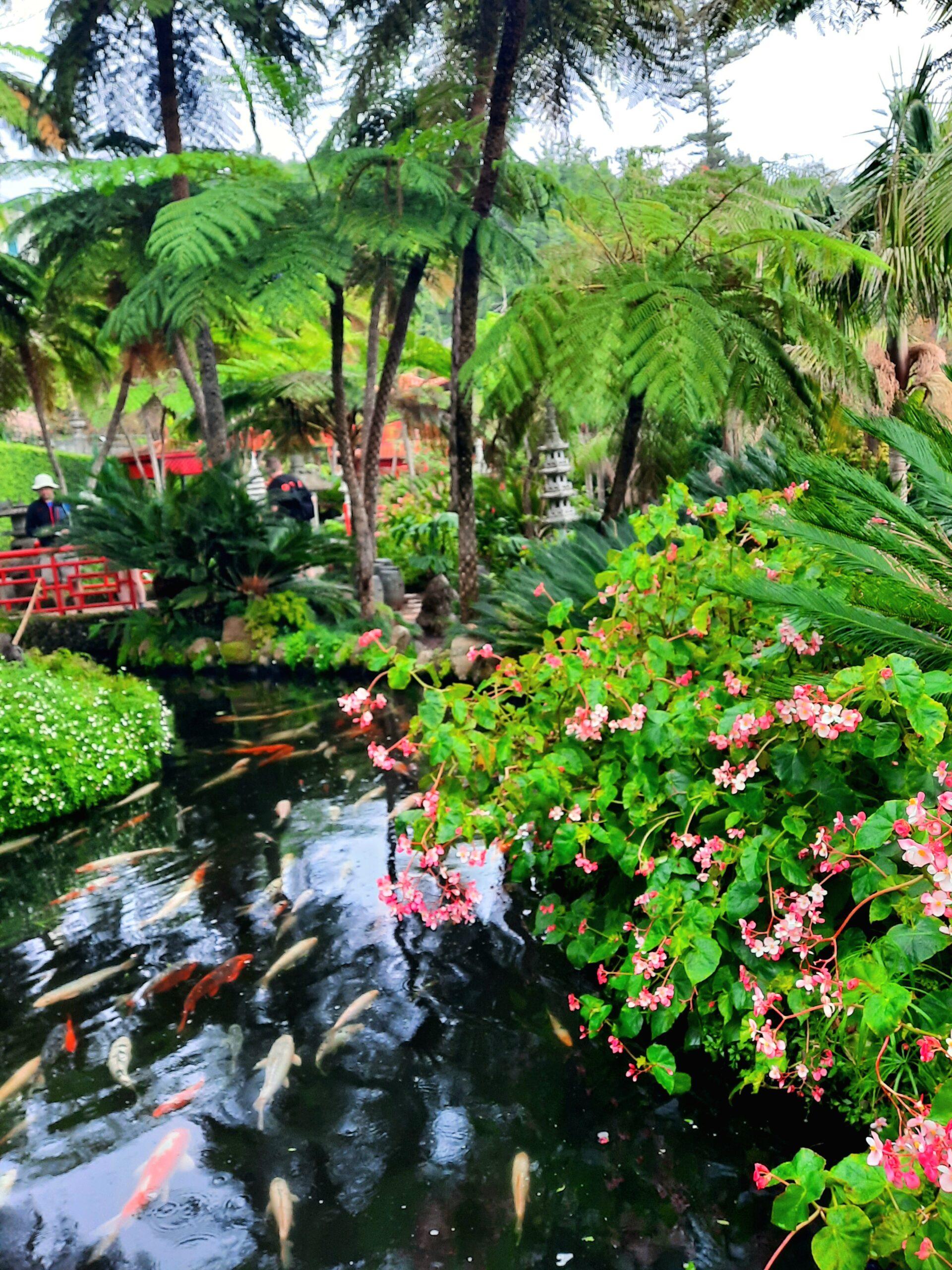 Monte Palace Tropical Garden in Funchal - MAdeira