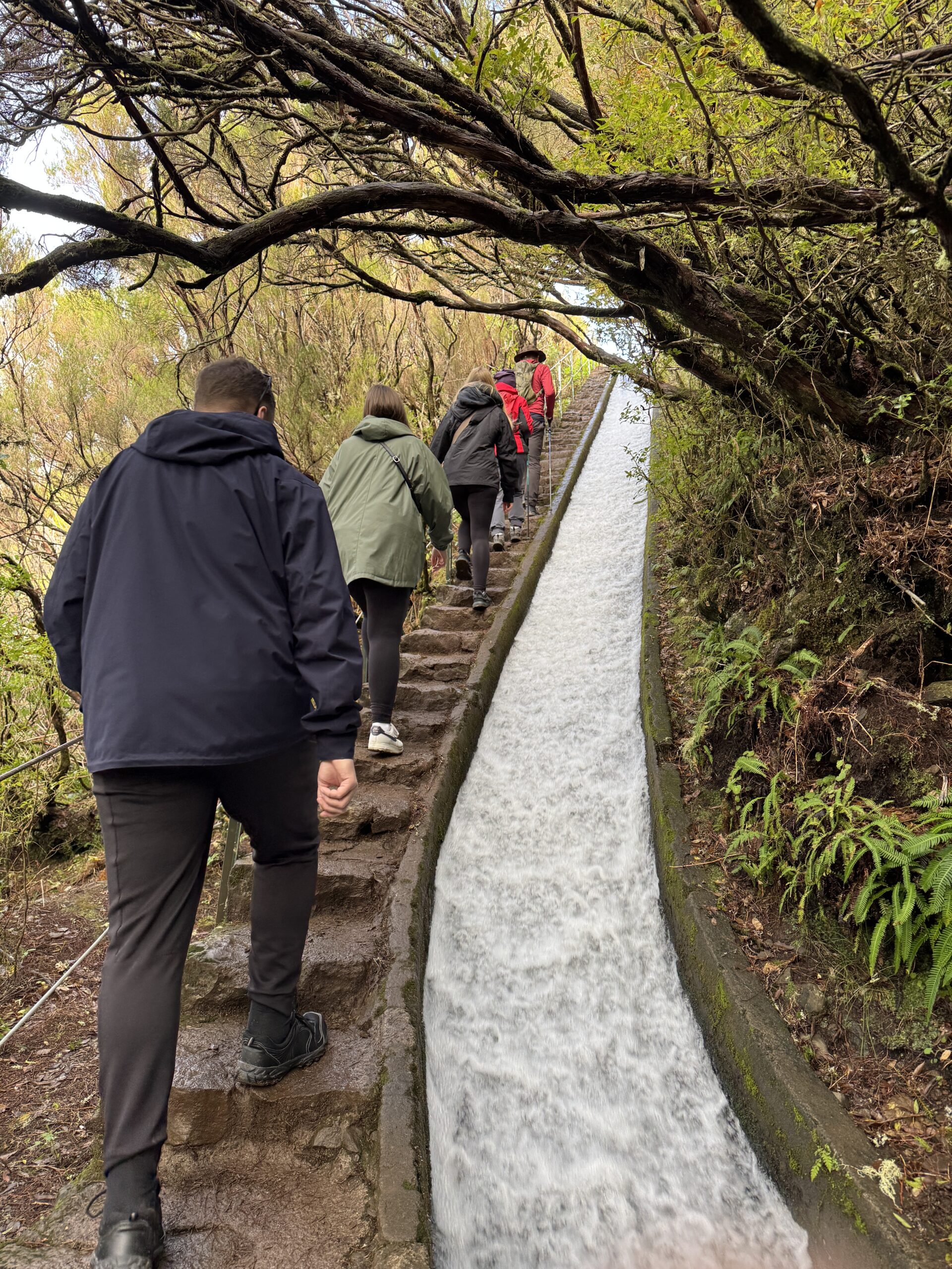 Levada Wanderung 25 Fontes Madeira